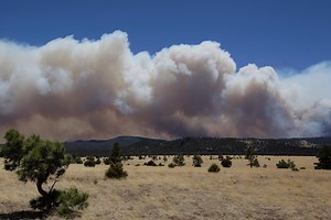 Wildfire in Arizona forces hundreds to evacuate after growing to 1,500 acres