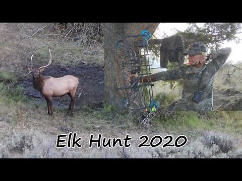 2020 Idaho archery elk hunt.