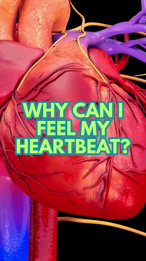 Understanding Why You Can Feel Your Heartbeat