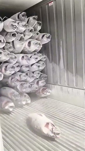 Clever unloading process of frozen tuna from reefer containers