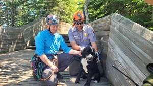 Dog Rescued After Falling Nearly 30 Feet Down a Cliff