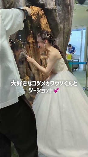 水族館で癒しのフォトウエディング✨#結婚式 #shorts
