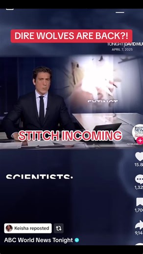 Dire Wolves Return in Game of Thrones: What to Expect