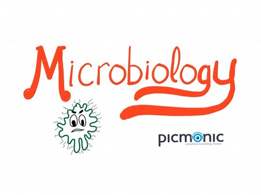 Medicosis Perfectionalis｜Microbiology｜picmonic