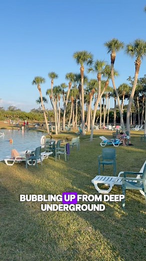 This spring is older than the pyramids… and you can SWIM in it. Warm Mineral Springs is packed with magnesium, sulfur, potassium, and more no wonder people call it the ‘healing water.’ Such a cool Florida adventure with our family. #healingwaters #thackertrails #florida #usa #travel #exploretheworld Warm Mineral Springs | Thacker Trails
