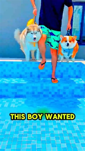 He TESTED Dogs Wimming Skills 😳🐶💦