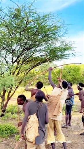 🌿🏹 The Real Hunters & Gatherers – Life in the Wild! 🔥 #shorts #realtribeslife