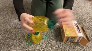 Watch Easy to use wasp trap with bait on Amazon Live