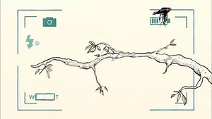 119K views · 664 reactions | Un court-métrage à hauteur d'enfant qui commence comme un rêve et glisse petit à petit dans le cauchemar. Le très poétique "Vilaine fille" est en exclu ici. Et il est nommé aux Césars 2019 s'il vous plaît ! via @ARTECourtCircuit ⤵ bit.ly/VilFille | ARTE | Facebook