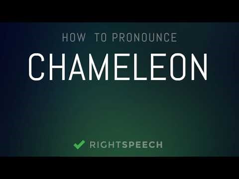Chameleon - How to pronounce Chameleon