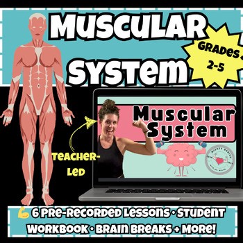 Muscular System Course for Kids |6 Pre-Recorded Lessons, Workbook & Brain Breaks