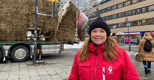 Nu har årets Gävlebock börjat byggas – men är sig inte lik