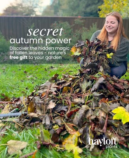 Hayloft on Reels | Facebook