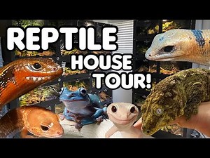 LIVING IN AN ANIMAL SANCTUARY | REPTILE HOUSE TOUR