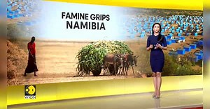 Namibia to kill over 700 wild animals to feed its people amid severe drought