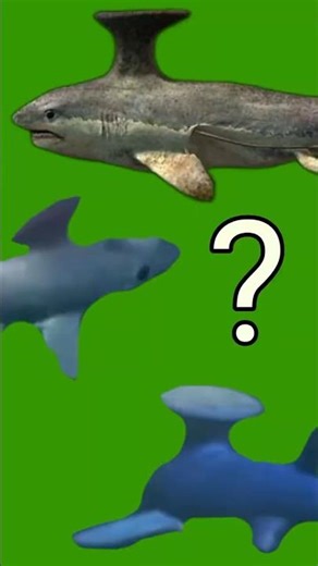 evolution of movie/series stethacanthus #dinosaur #movie #shark #sharkweek #series