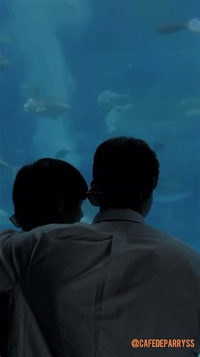 2J 5 Star - Happy 2nd Anniversary 🧡🖤 #edit #fmv #2J #cityboy_log #2J #leejaejun #leejihan #시티보이로그