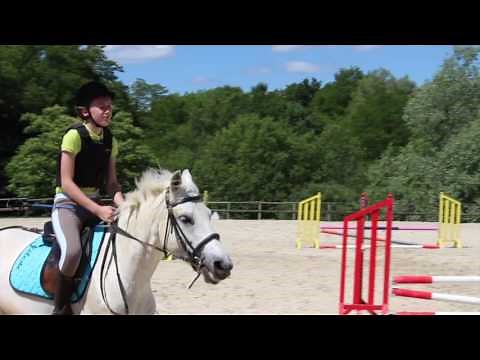 Cours et stages poney
