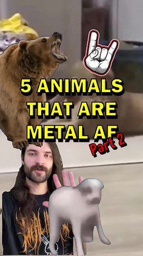 Metal Animals - Unique Creations in Heavy Metal Art