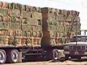 Castillon Bros. Hay Wagon # 33