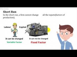 Production Function in Short Run & Long Run | Diagrams, Examples & Key Differences Explained