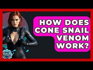 How Does Cone Snail Venom Work? - The Marine Life Explorer