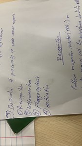 Describe the 4 processes of innate immune response:Recognitio... | Filo