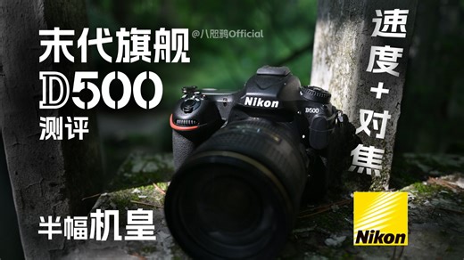 尼康半画幅的顶点 | 尼康D500测评 | 末代机皇