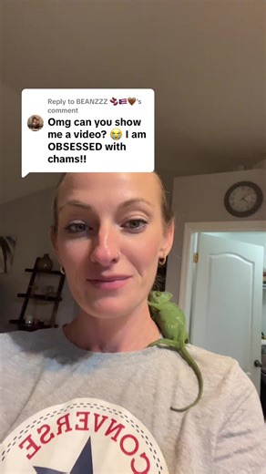 Replying to @BEANZZZ 🫘🇵🇷🤎 This is Ivy 😅💜