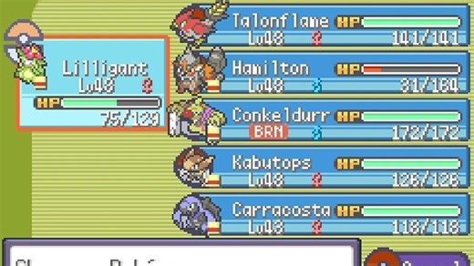 RUN&BUN硬核nuzlocke暴力晴天队