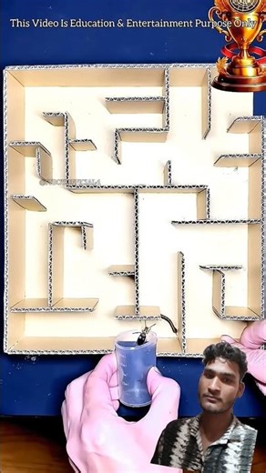 The Titan Battle: Cockroach vs Centipede Maze Challenge! 🏆 #viral2026 #viralvideo #shortvideos #flyt