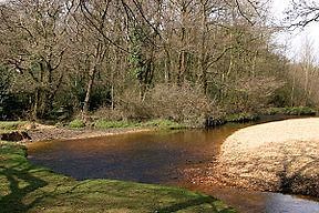 Avon Water, Hampshire - Alchetron, The Free Social Encyclopedia