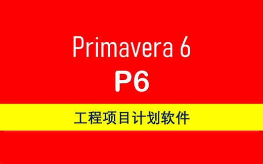31. Assign Activity Codes in Primavera P6