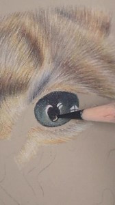 🎨 From pupil to whisker, Derwent Lightfast pencils help you you to capture every detail. @pritch_art took a journey into the wild at Whipsnade Zoo earlier this year, getting up close and personal with a stunning lioness. 🦁 Armed with her trusty Derwent Lightfast pencils, she skilfully crafted a breathtaking portrait, immortalising the majestic creature. #Lioness #Drawing #FineArt #PencilArt #SafariArt #DerwentLightfast | Derwent Art