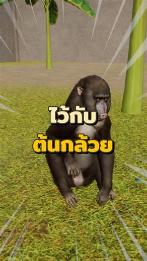 ทิ้งลิงไว้กับต้นกล้วยลิงจะกินกล้วยไหม#planetzoo #simulator #กระรอกแดงเล่นเกม#เกม#games