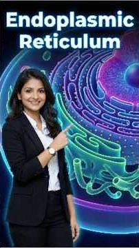Endoplasmic Reticulum & it's functions | complete explanation in one -short video | #biology #neet
