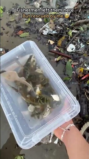 Tiny Fish Rescue Mission 🐟 | Saving Abandoned Fish Before It's Too Late! 😭#fishrescue