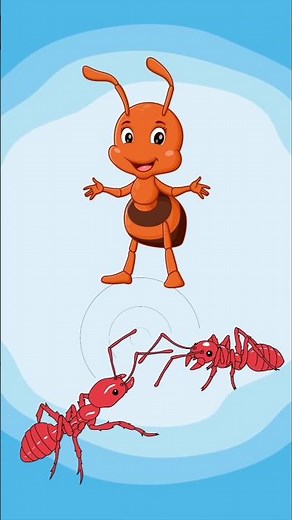 Learn the Letter A | ABC Alphabet Song for Kids