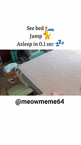 Cat sees the bed. Cat jumps. Cat enters deep sleep in 0.00001 seconds—no loading, no buffering, just instant nap mode activated. #CatLife #InstantNap #SleepKing #ComfyCat #PetHumor #CatMeme #CatNapsBeLike #FurryRoyalty #MeowMood | Meow Meme