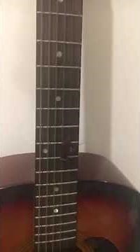 Cockroach That Plays Guitar Better Than me