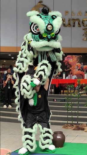 LION DANCE Performance #chineseculture #liondance
