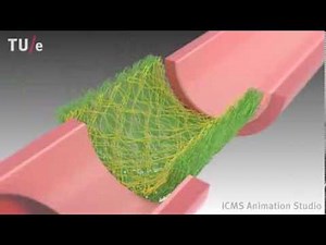 Instructive Supramolecular Scaffolds for In Situ Cardiovascular Tissue Engineering