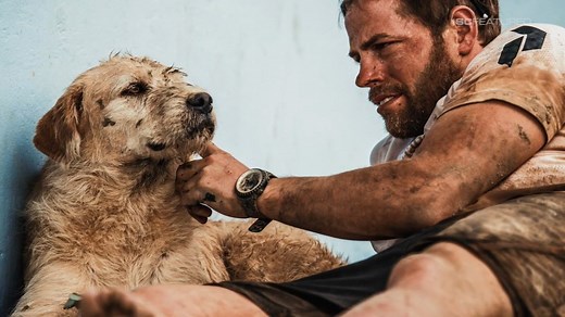 235K views · 728 shares | A distance of 6,455 miles doesn't begin to measure the journey one dog made — to join a team, and find a family. | ESPN | Facebook