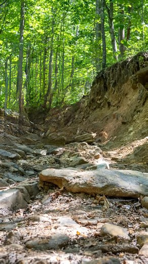 Superior Engineering on Instagram: "Protect your 70 series cruisers front diff with our brand new heavy duty weld on diff guard! Designed to maintain ground clearance and give the added strength needed to driving through rocks and ruts! https://tinyurl.com/p7juw5v2 #superiorengineering #superior4x4 #superior #Toyota #landcruiser #70series"
