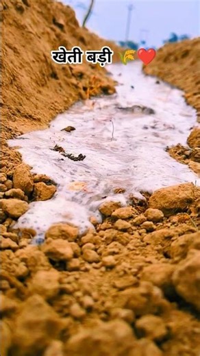 #गांव #vairal #video #vairal #trending #farming #video #kisan #village