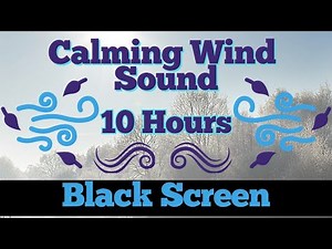 Wind Sound for Sleeping (10 Hours) 💨 Howling Wind Sounds 💨 Whistling Wind Noise 💨 Wind Sound Effect