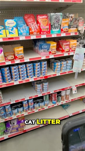 Quick Field Agent Gig: Pet Supplies at Family Dollar! #shorts