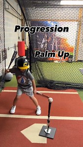 ✅Easy Progression for Palm up palm down work! This 6 year old is rocking it!! 🔥 He’s making it look a lot easier than it is!! 🫴 One hand palm up 🫳 One hand palm down Both hands palm up / palm down 🫴🫳 #baseball #hitting #development #youth #drills #athlete #sports | The Ultimate Swing