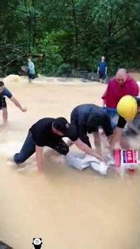Fish Daze During Reservoir Flood Discharge: The Shocking Truth