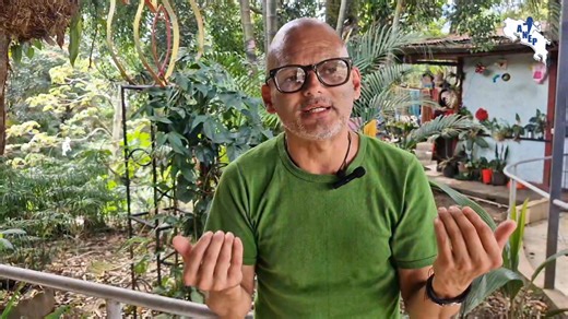 Seccional ANEP-Diversidad entregó comida, víveres y ropa a población en condición vulnerable. Como parte de su proyecto de responsabilidad social, la seccional ANEP-Diversidad entregó víveres, ropa y comida a población en condición vulnerable. https://youtu.be/LhrkLmNRC_E?si=oWAW0glhiqKr4MT7 | ANEP